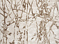 SAMIRA 32991 070 BEIGE