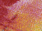 CRYSTAL 2754 MULTICOLOR
