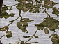 TOKIO 17974A GREY / L.GREEN Овал