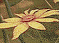 HUNNU Цветы 6A2327 028