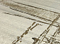 MATRIX 51248 6979 V