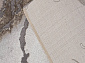 Ковровая Дорожка GRAFF 3270 GRAY-BEIGE