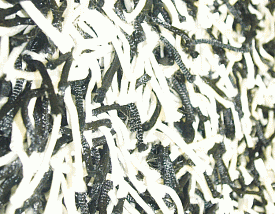 длинноворсовый Шегги TW black-white