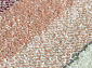 SOFIT 2392 LIGHT GRAY