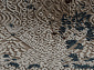 QUANTUM 03010B BROWN / BROWN Овал