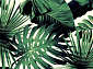 с цветами SCANDINAVIAN MONSTERA 10