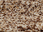 COMFORT SHAGGY 2 S600 MULTICOLOR