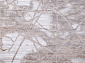 AJMAL LP315A CREAM / BROWN