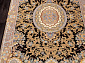 SHIRAZ 5361 000