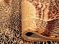 ISFAHAN BELLONA amber