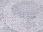 MESMERIZE O0487 110 MULTI