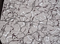 SILVER F389 GRAY Овал