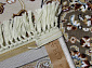 SHAHREZA d210 CREAM-BROWN