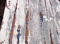 PAMIR 7352A L.GREY / L.GREY