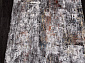 LISSABON SI021M MULTI / GREY