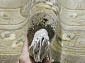 90 LINE WOOLEN HANDK-KNOTTED F095 NATURAL Овал