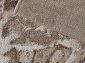 Ковровая Дорожка SAMIRA O1119 770 BEIGE