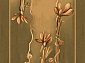 OPAL TRACJA olive