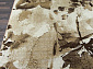 SUNRISE 2 D440 BEIGE