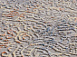 QUARES 32967 096 GREY