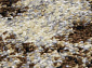 SUNRISE 2 D460 GRAY-BEIGE Овал