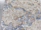 SAMIRA O1119 730 BEIGE / BLUE