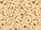 Ковровая Дорожка VALENCIA p115 CREAM