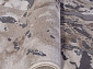 ARMINA 03819A GREY / BROWN