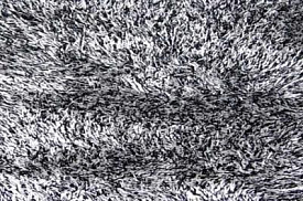 SWITZERLAND black/white