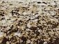 SUNRISE 2 D450 BEIGE