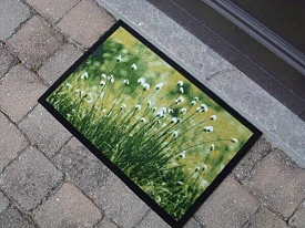 Грязезащитный коврик Modemo 300255 0.5х0.8 луг