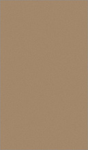 LANA T600 DARK BEIGE