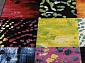 CRYSTAL 2778 MULTICOLOR