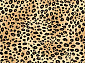 VALENCIA D107 BEIGE
