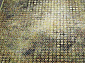 CRYSTAL C037 MULTICOLOR