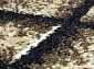 SUNRISE 2 D452 BEIGE