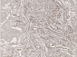 MOROCCO NP 268 CREAM