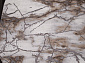 GRAFF 3270 GRAY-BEIGE Овал