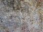 CRYSTAL C029 MULTICOLOR