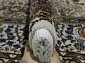 SHAHREZA D414 CREAM Овал
