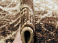 SUNRISE 2 D461 BEIGE Овал