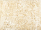 CHAMELEON ivory