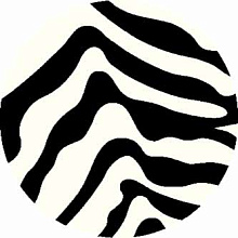 SHAGGY ULTRA s604 BONE-BLACK Круг