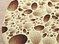 LAGUNA D485 CREAM Овал
