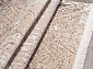 REGINA O0283 040 GREEN