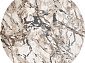 ARMINA 03819A GREY / BROWN Круг
