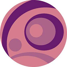 VISION DELUXE V151 PINK Круг