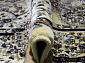 NIGIN MANOLYA IRANI 8077 BEIGE