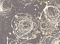  ALABASTER Kianta W graphite