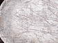 MODA 9804 ACIK GRI Круг